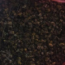 野菊花