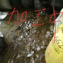 压榨菜籽油一级