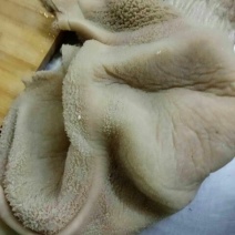 牛杂冷冻