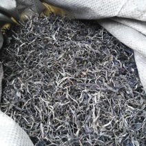 古树普洱茶一级