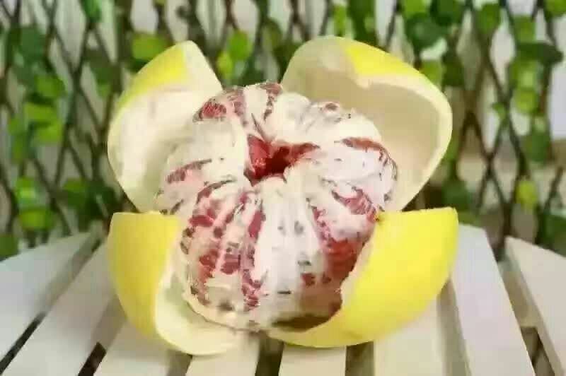 柚子切开果肉特写