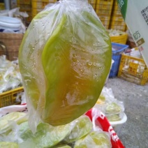 小果甜杨桃