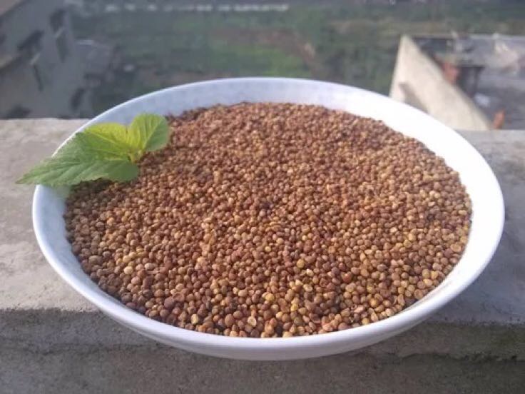 女性生殖健康食谱可视化:韭菜与富锌富硒食材协同搭配,体现科学配伍逻辑 中式养生餐盘:清炒韭菜配枸杞虾仁+黑芝麻南瓜子坚果碎,色彩明快,突出食材天然组合