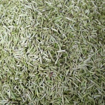 川茶特级