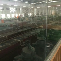 川茶特级