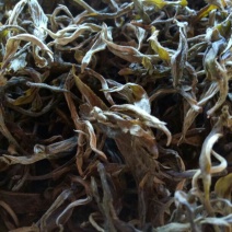 普洱绿茶