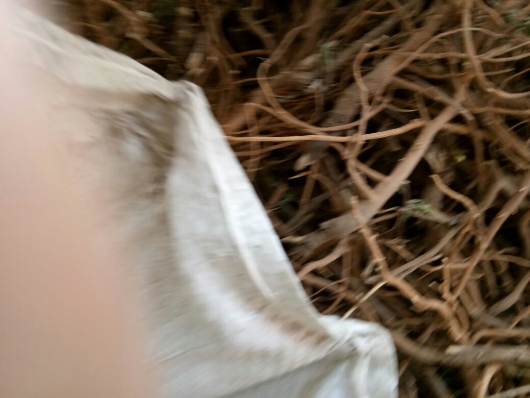北柴胡皂苷分子结构与药理作用示意图