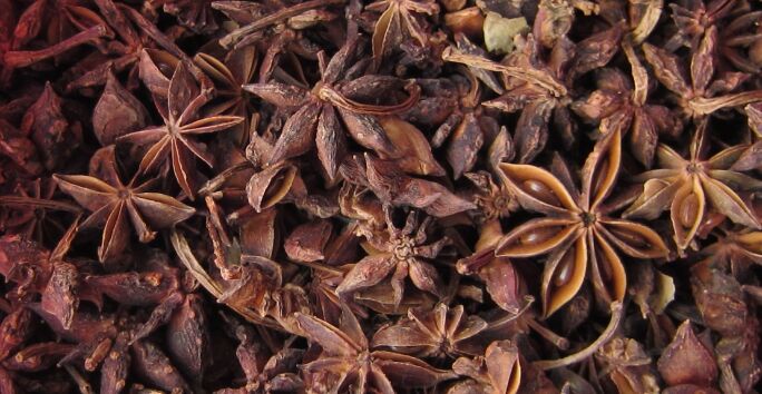八角在中医和现代营养学中的应用