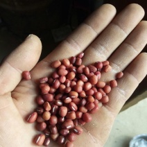 红小豆包装