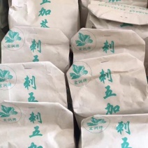 刺五加茶