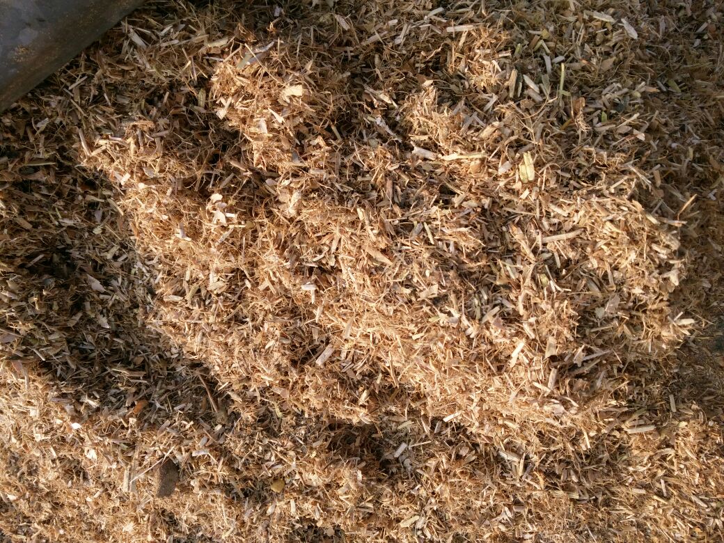 判断除草剂是否变质的方法