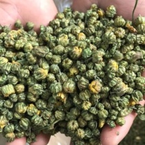 白菊花茶