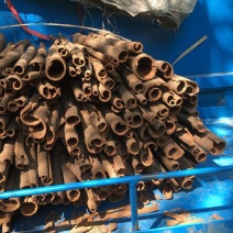 桶桂