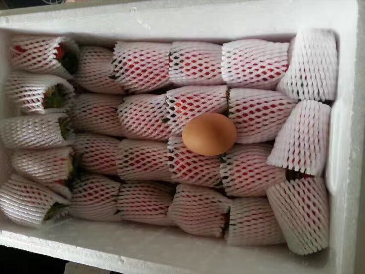草莓甜查理成品包装与销售渠道展示