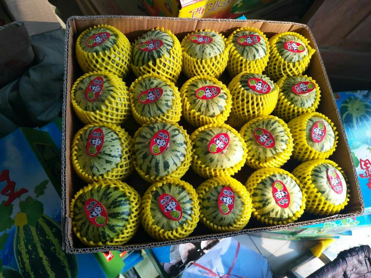 海南玫珑网纹瓜在精品超市货架上的陈列展示,包装精美,标签清晰 海南玫珑网纹瓜在超市货架展示