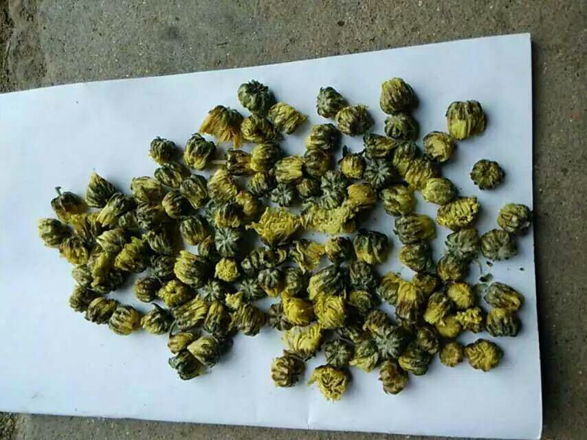 透明密封罐装杭白菊与宁夏枸杞特写，两个玻璃罐并排置于厨房台面上，标签清晰标注“桐乡杭白菊”与“中宁枸杞”，罐内可见完整菊花头与均匀红色枸杞颗粒，背景虚化体现家庭厨房环境