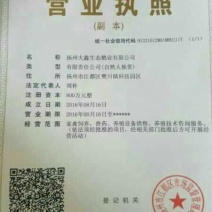 灰鹅苗35~45g