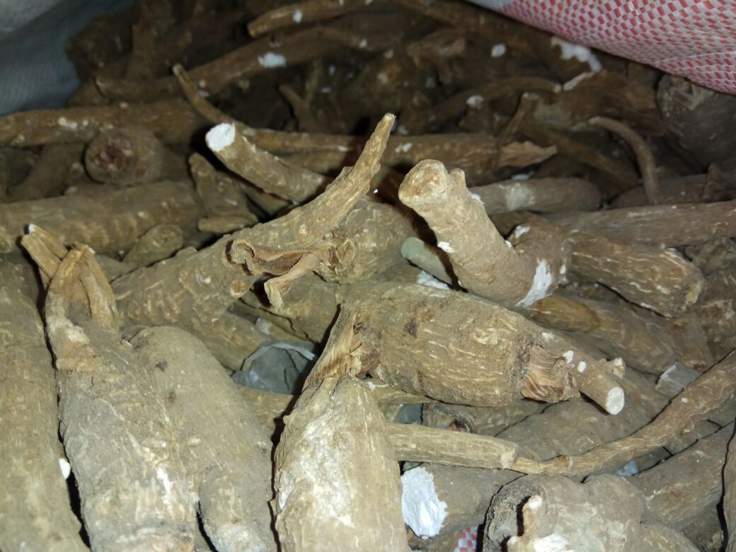 白芷密封储存示意图