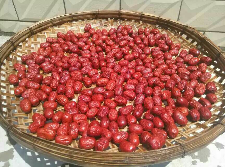 农户在阳光下晾晒新采摘的若羌枣子