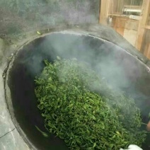 普洱茶