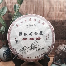 福鼎白茶