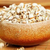 薏米小薏米真空450克