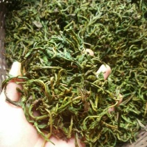 古树普洱茶一级