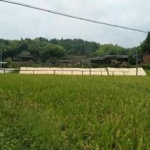 粉干
