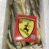 小黄鱼