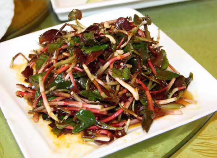 两种典型菜肴对比图:左侧为凉拌蕺菜茎叶配辣椒油,右侧为清拌鱼腥草根段,展示不同部位的常见食用形态 图片描述