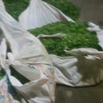 普洱茶