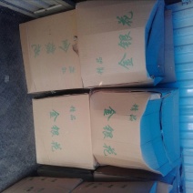 脱水长豆角