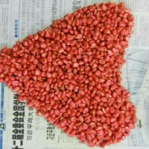拌种剂悬浮剂
