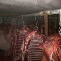 马肉鲜货