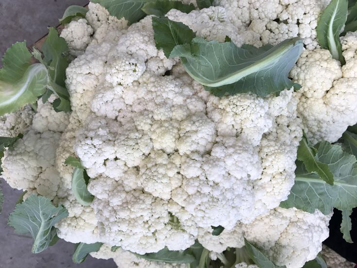 侧视角高清摄影:铁锅中松花菜在金黄蒜片与红亮小米辣间翻飞,花球呈乳白色泛微焦金边,锅气升腾,油光润泽不油腻,背景虚化突出食材质感 松花菜爆炒过程动态抓拍