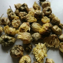 菊花茶特级