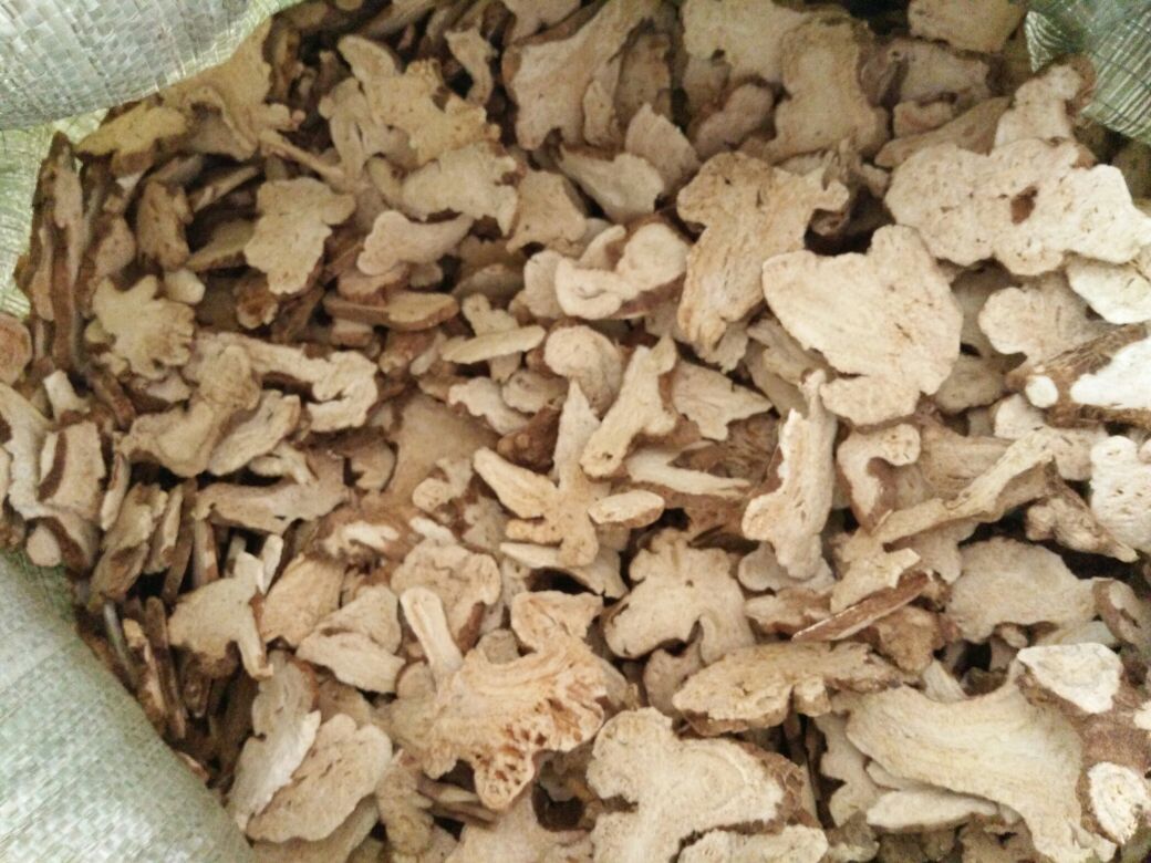 现代化白术饮片加工厂内部