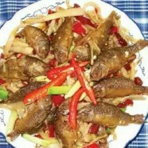 乌鲤食用0.5~1公斤