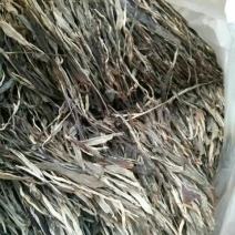 普洱茶一级