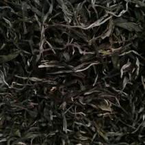 古树普洱茶特级