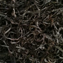 古树普洱茶特级