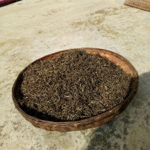 百年大树茶二级