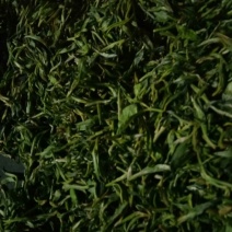 普洱茶二级