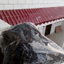 古树普洱茶一级