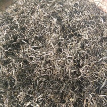 老树茶一级