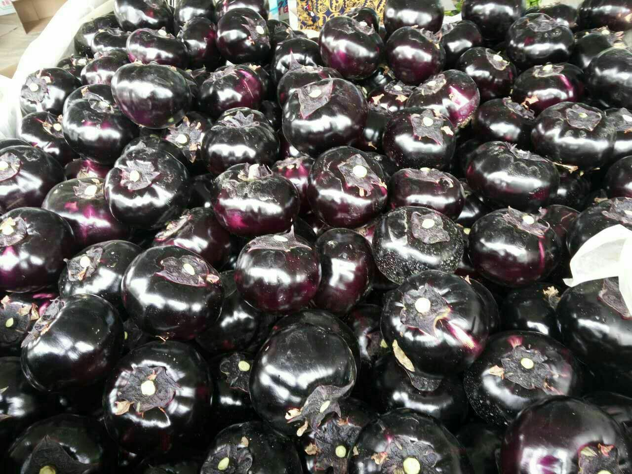 圆茄厨房应用多角度图,展示整果、纵剖、切片三种典型处理形态,突出果肉质地、籽粒分布与切面颜色,服务于烹饪教学与美食内容创作 厨房应用组图:砧板上并排摆放三枚不同切法的圆茄——整颗带蒂、四瓣纵切、薄片叠放,刀工清晰,断面洁白微泛青,周围点缀蒜末、小米辣与青葱,背景为洁净大理石操作台