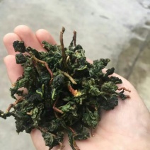 观音茶一级