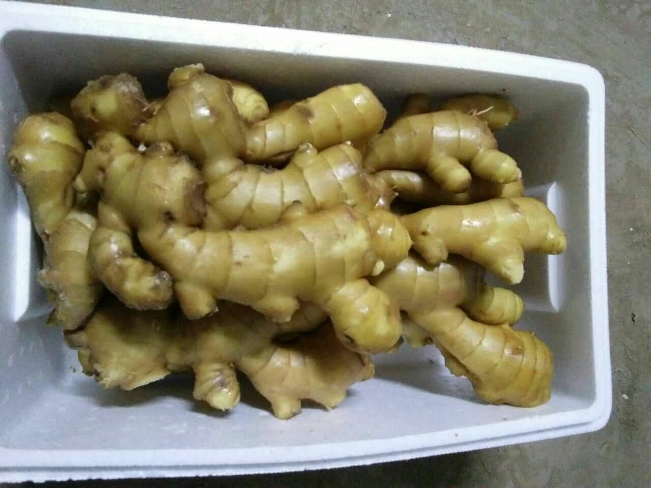 临海姜汤面制作现场