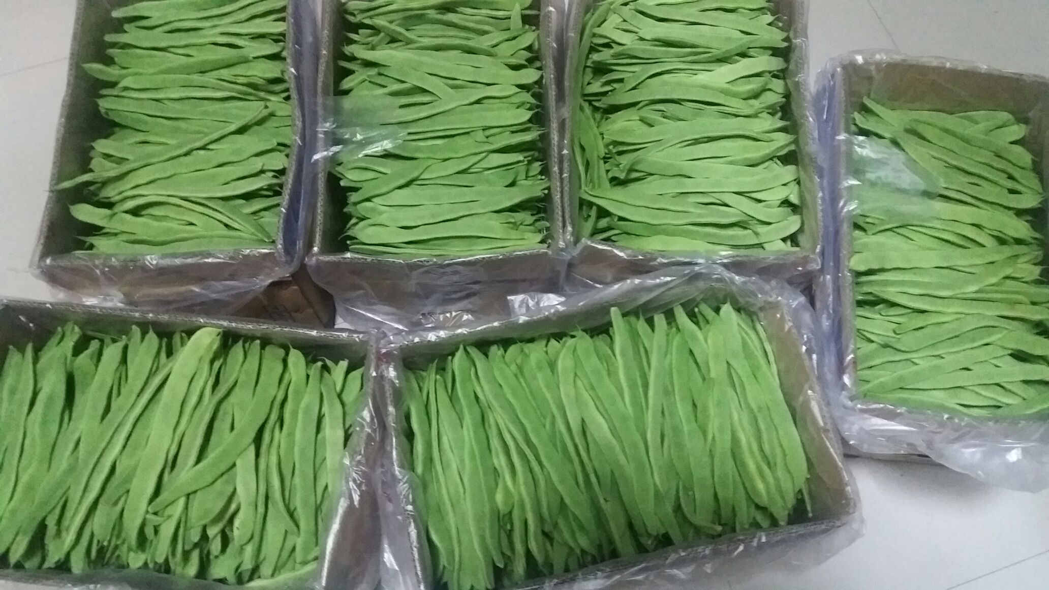 荷兰豆批发市场交易现场