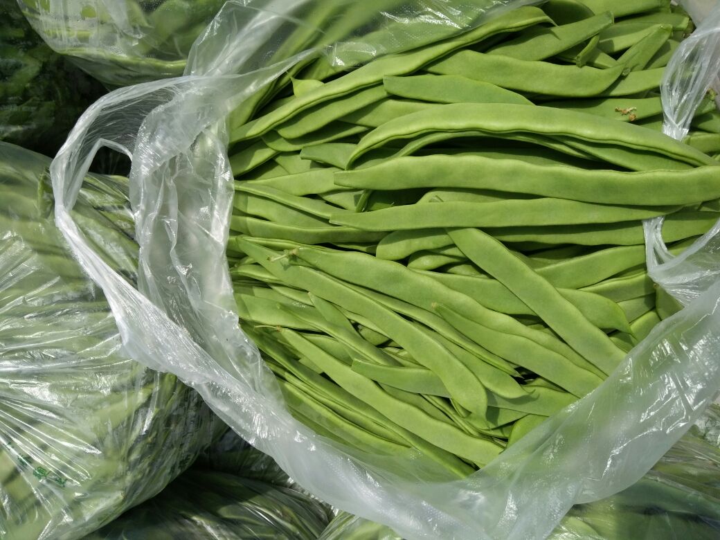 绿扁豆冷藏保存